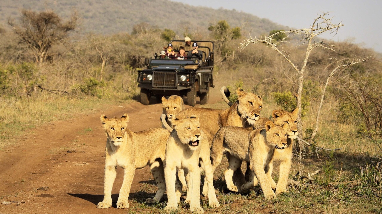 Photo of Others in Hluhluwe