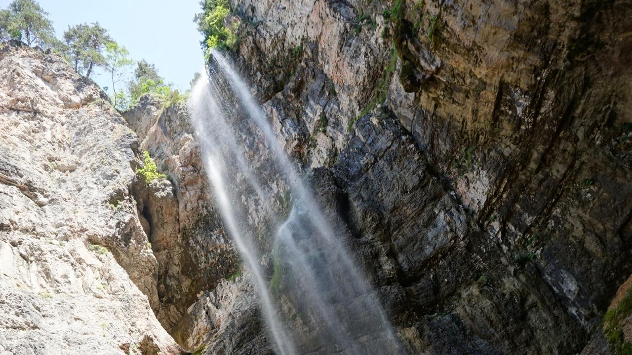 Photo of Others in Senale San Felice