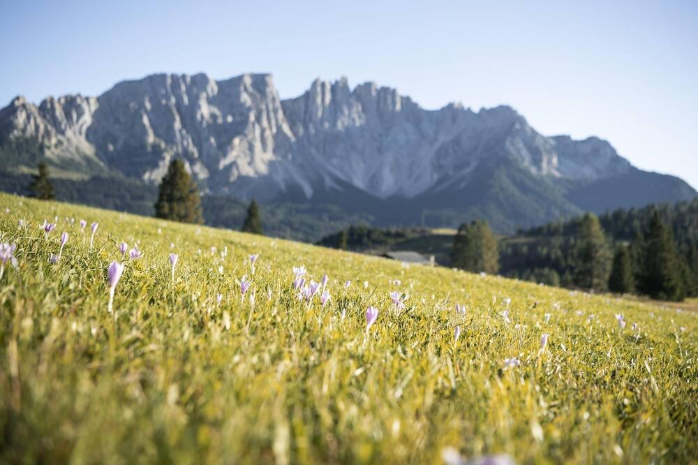 Photo of Outdoor in San Nicolo d'Ega