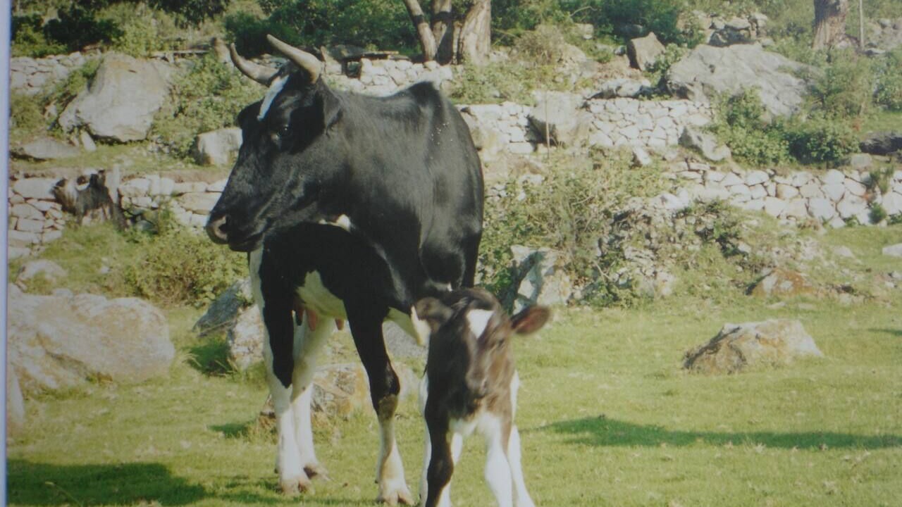 Photo of Outdoor in Obrajillo