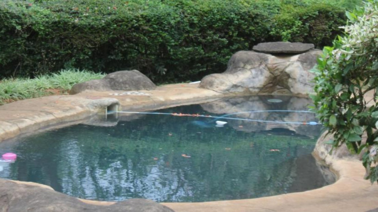 Photo of Outdoor in Kwambonambi
