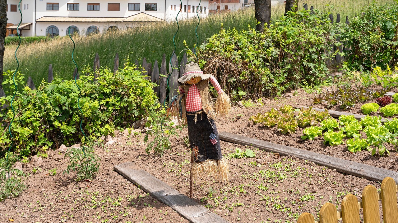 Photo of Outdoor in Anterivo