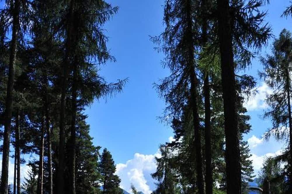 Photo of Outdoor in Anterivo