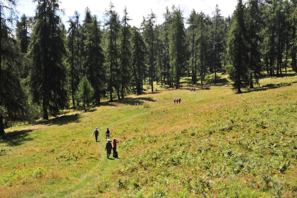 Photo of Outdoor in Anterivo