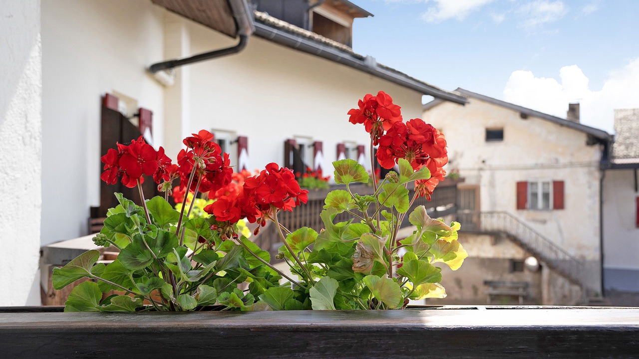 Photo of Outdoor in Anterivo