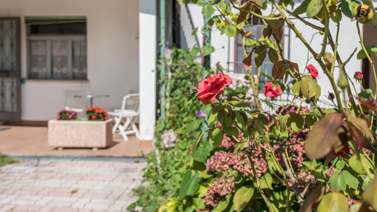 Photo of Outdoor in Levico Terme