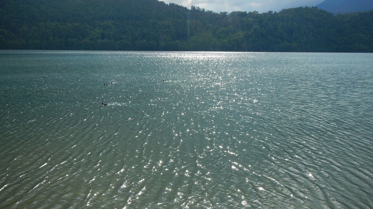 Photo of Others in Levico Terme