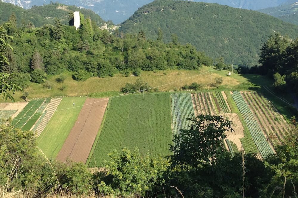 Photo of Others in Ronzo-Chienis