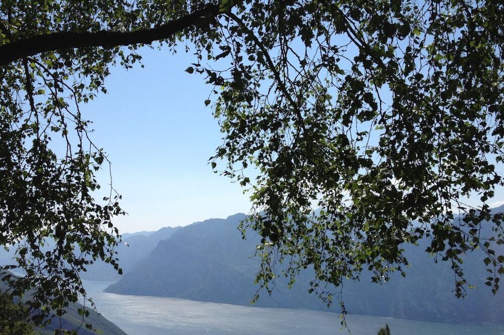 Photo of Outdoor in Ronzo-Chienis