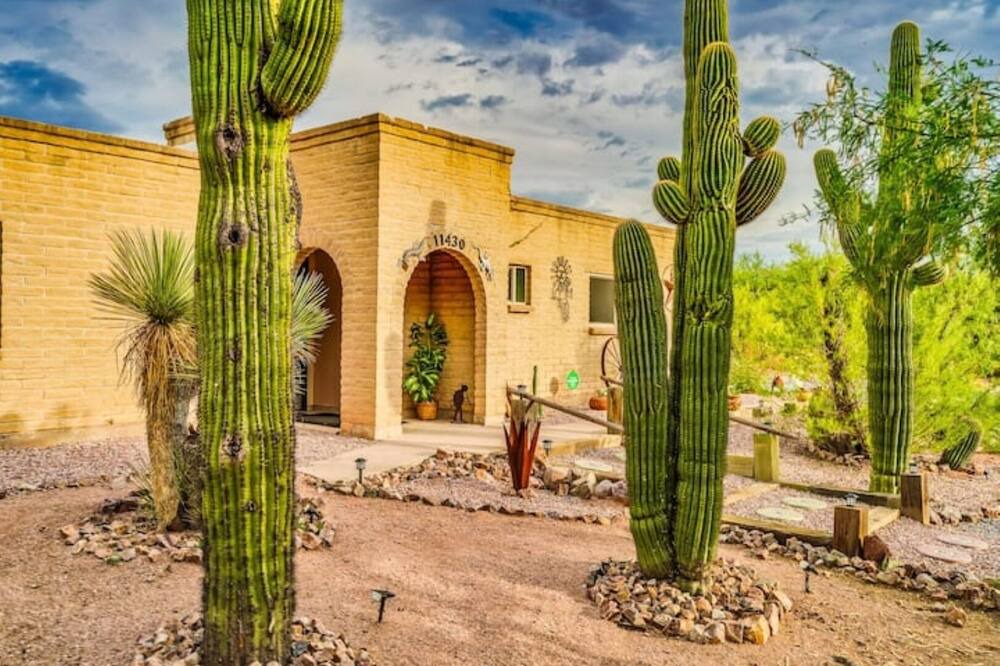 Photo of Outdoor in Tanque Verde