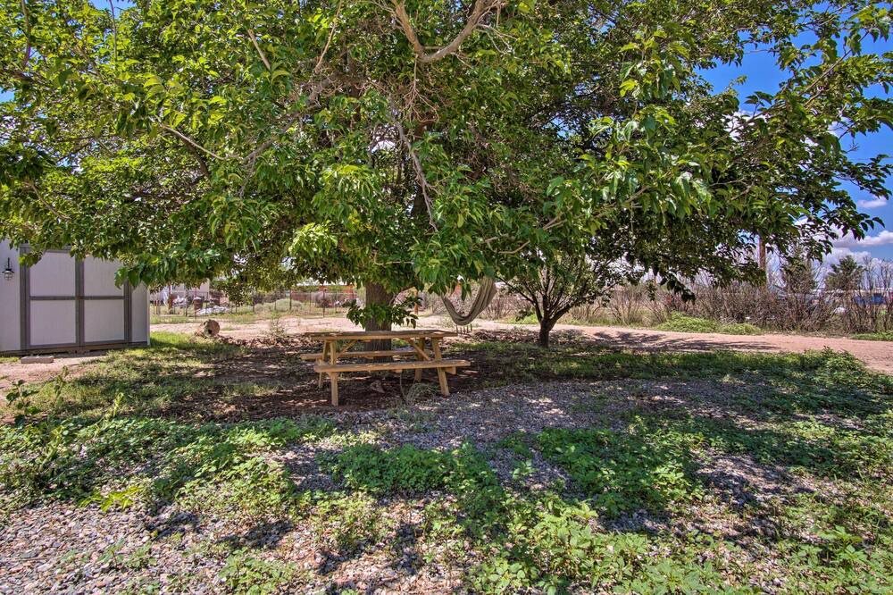 Photo of Outdoor in Elfrida