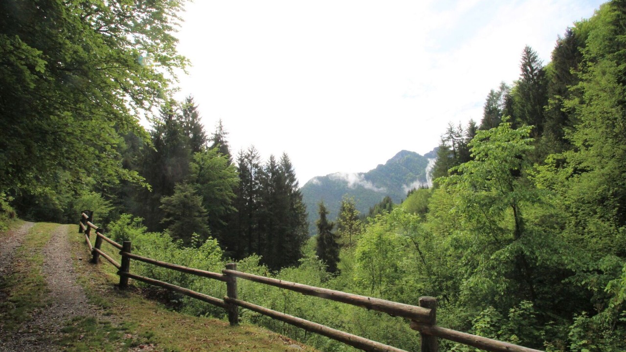 Photo of Others in Bezzecca