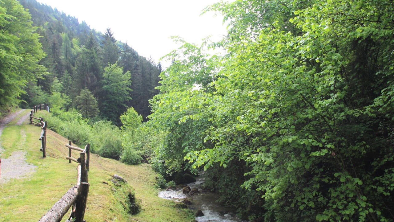Photo of Others in Bezzecca