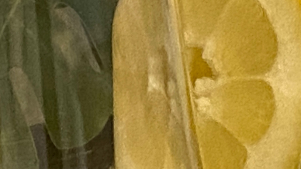 Photo of Others in Cinque Terre