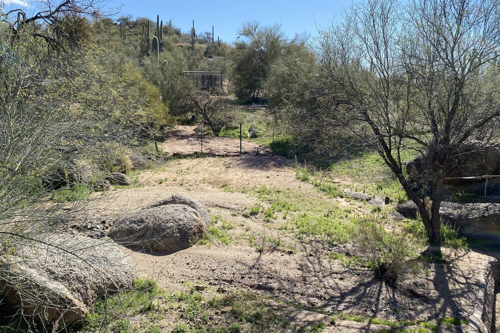 Photo of Others in Cave Creek