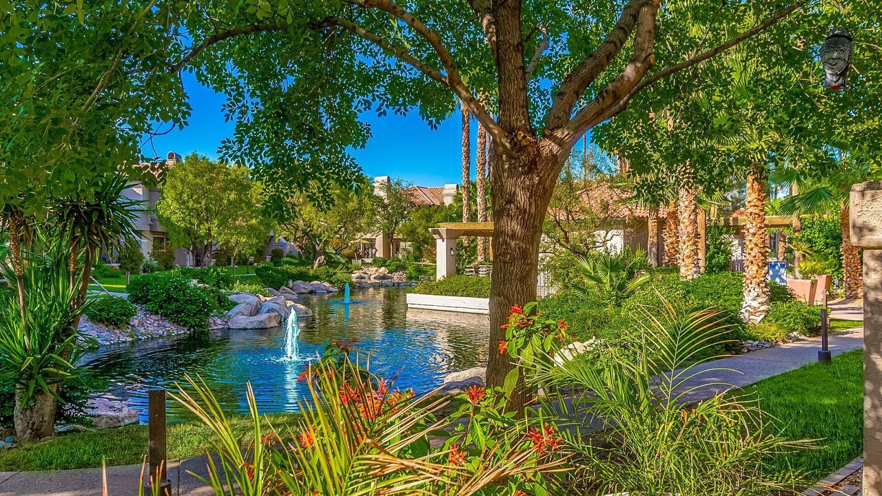 Photo of Outdoor in Scottsdale Ranch