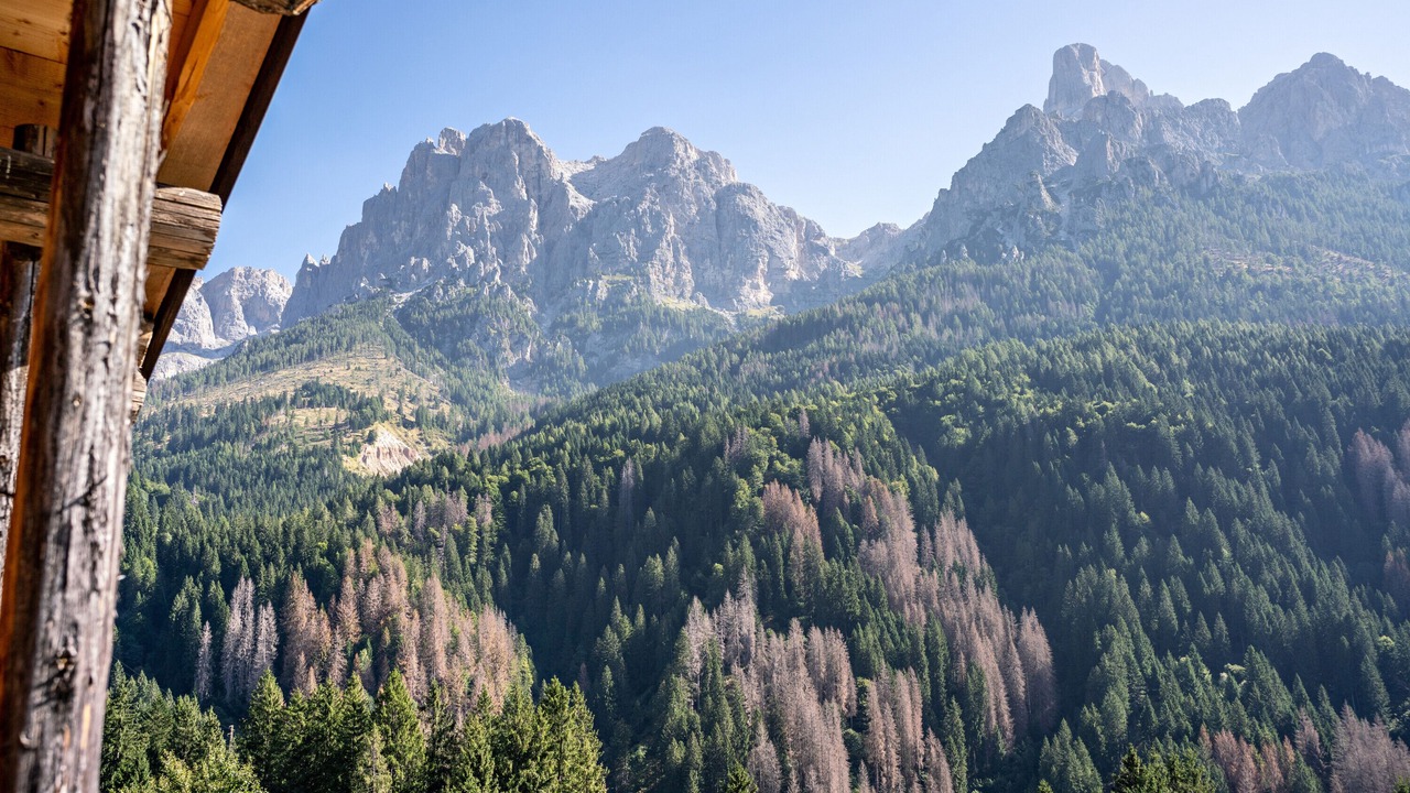 Photo of Outdoor in Primiero San Martino di Castrozza