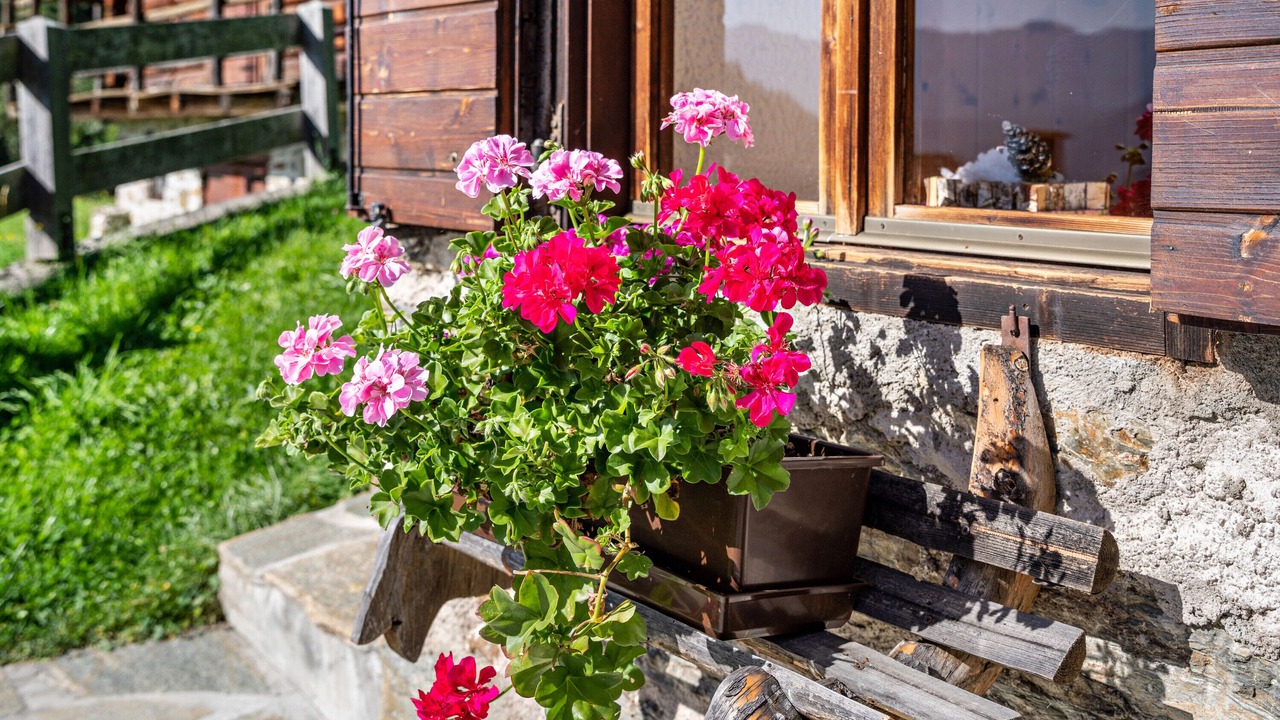 Photo of Outdoor in Primiero San Martino di Castrozza