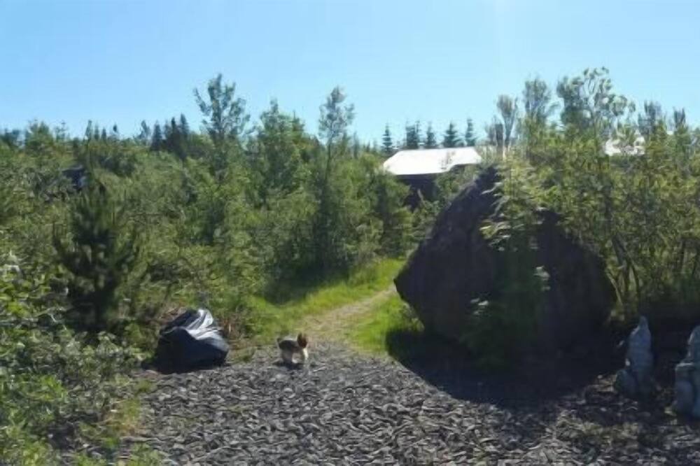 Photo of Others in Hvalfjarðarsveit