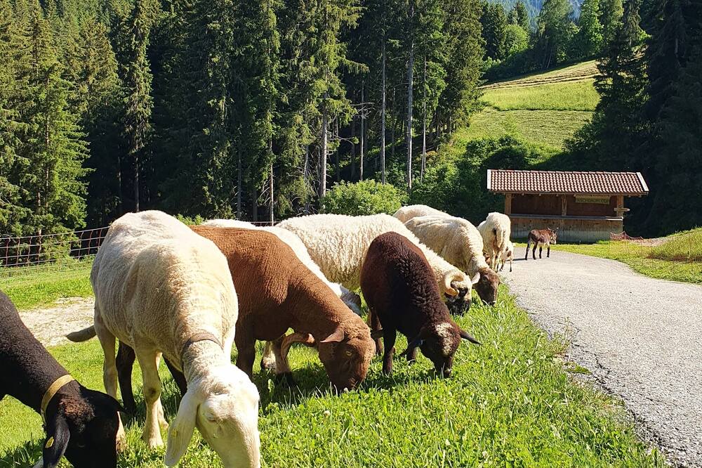 Photo of Outdoor in Valdaora di Mezzo
