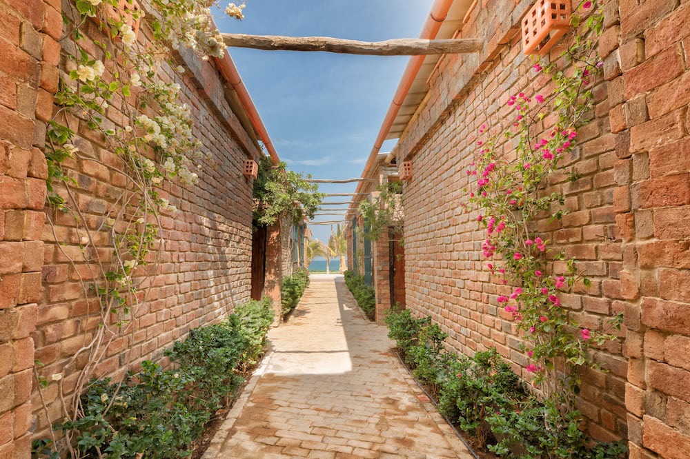 Photo of Outdoor in Los Organos