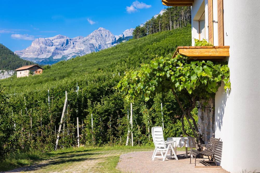 Photo of Outdoor in Ville d'Anaunia