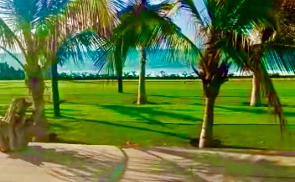 Photo of Outdoor in Los Organos