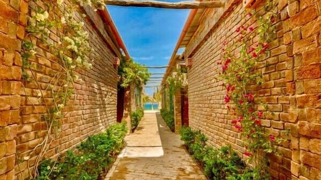 Photo of Outdoor in Los Organos