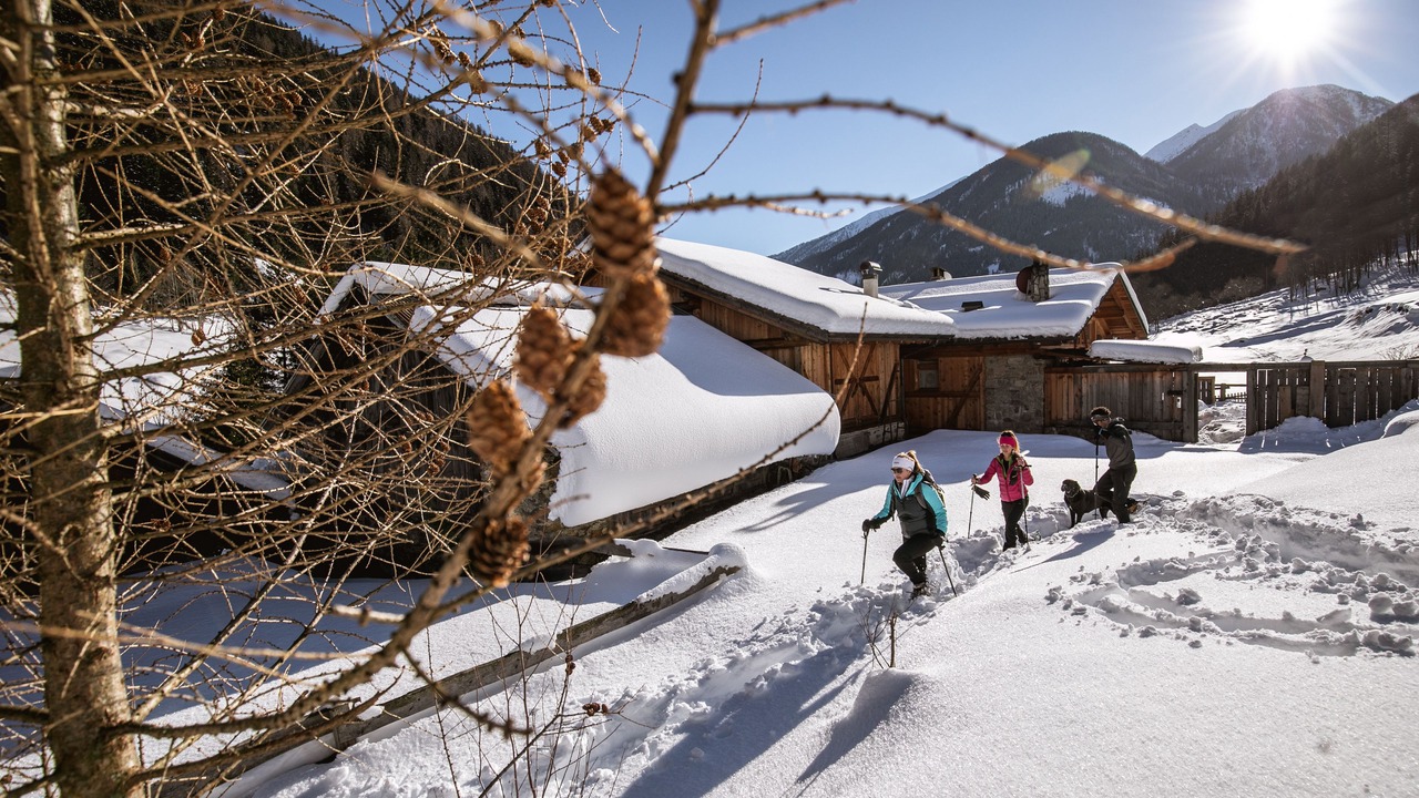 Photo of Outdoor in Cogolo
