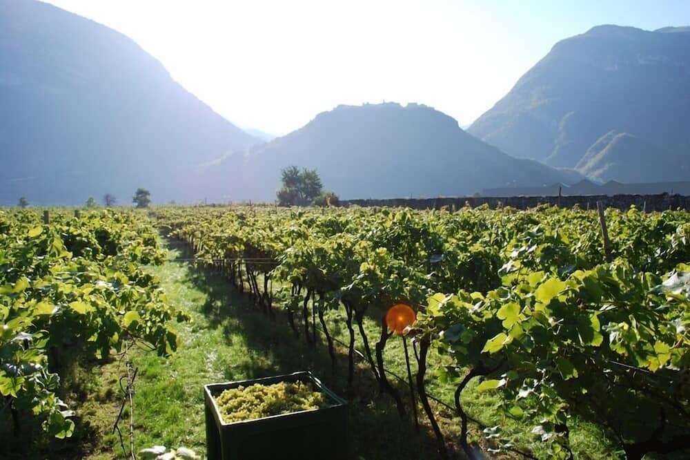 Photo of Outdoor in Calliano