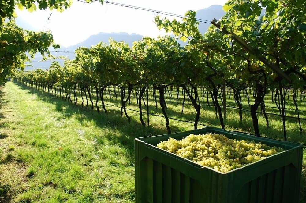 Photo of Outdoor in Calliano