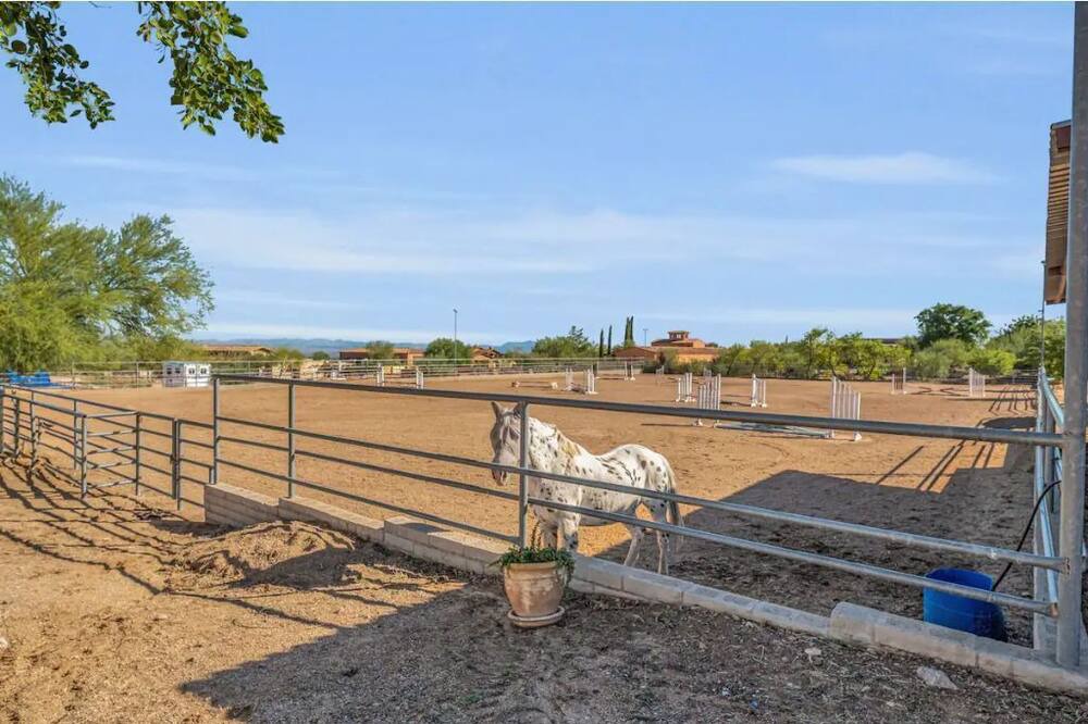 Photo of Others in Rio Verde Foothills