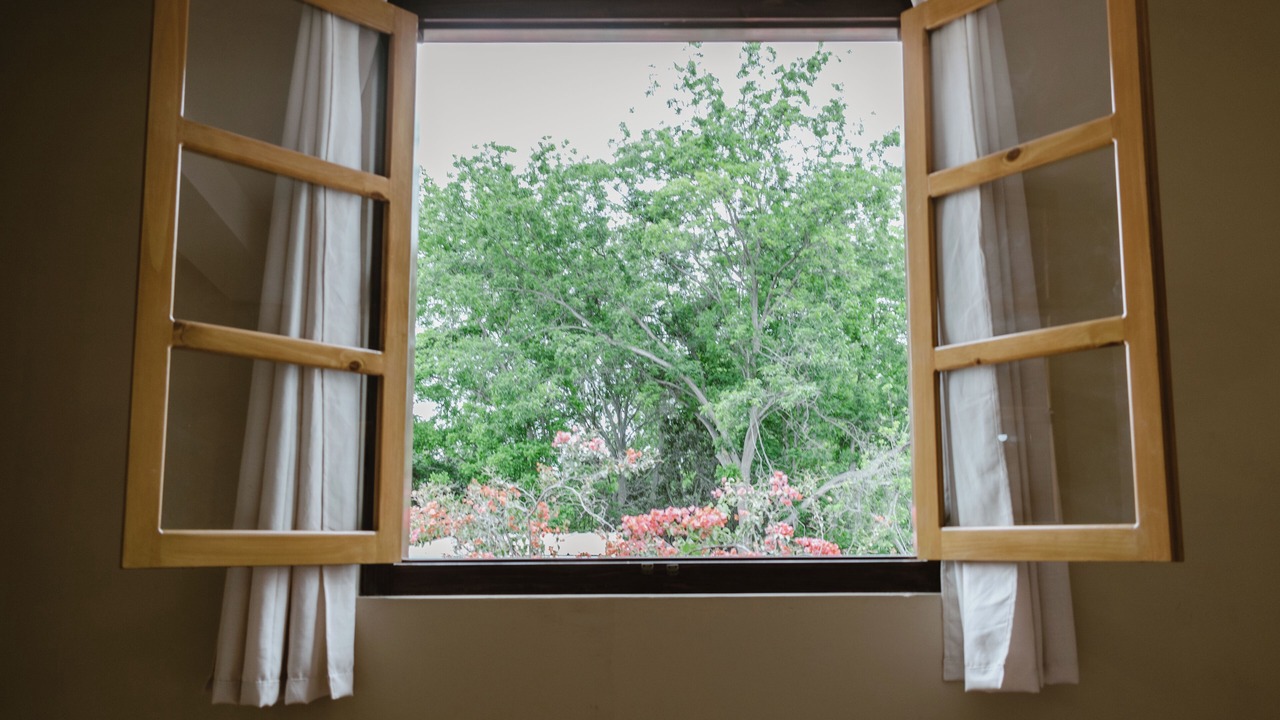 Photo of Bedroom in Ica