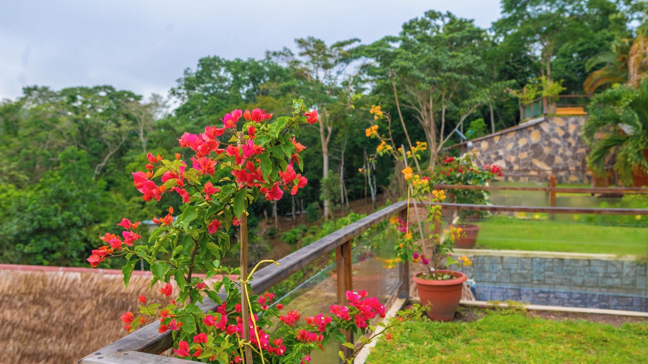 Photo of Outdoor in Sauce