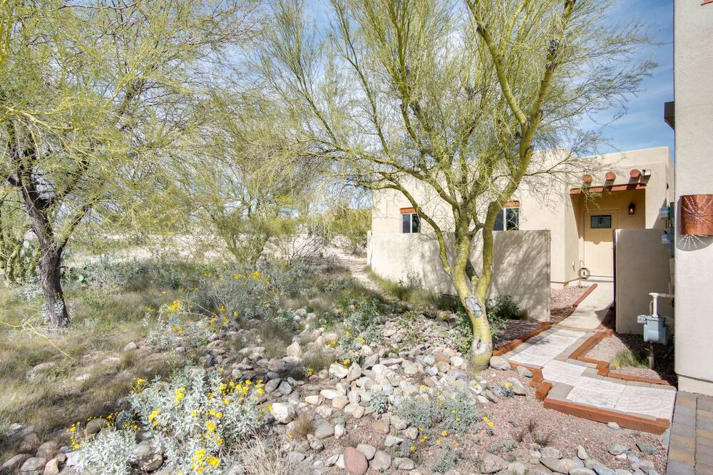 Photo of Others in Tucson