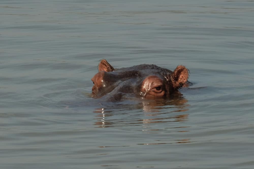 Photo of Others in St. Lucia