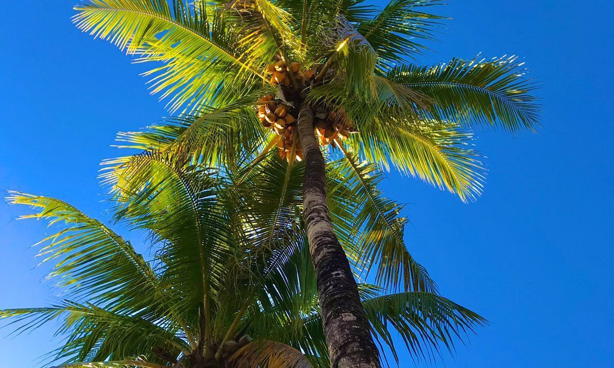 Photo of Outdoor in La Banda de Shilcayo