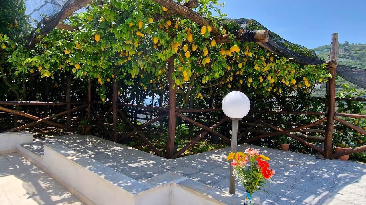 Photo of Outdoor in Minori
