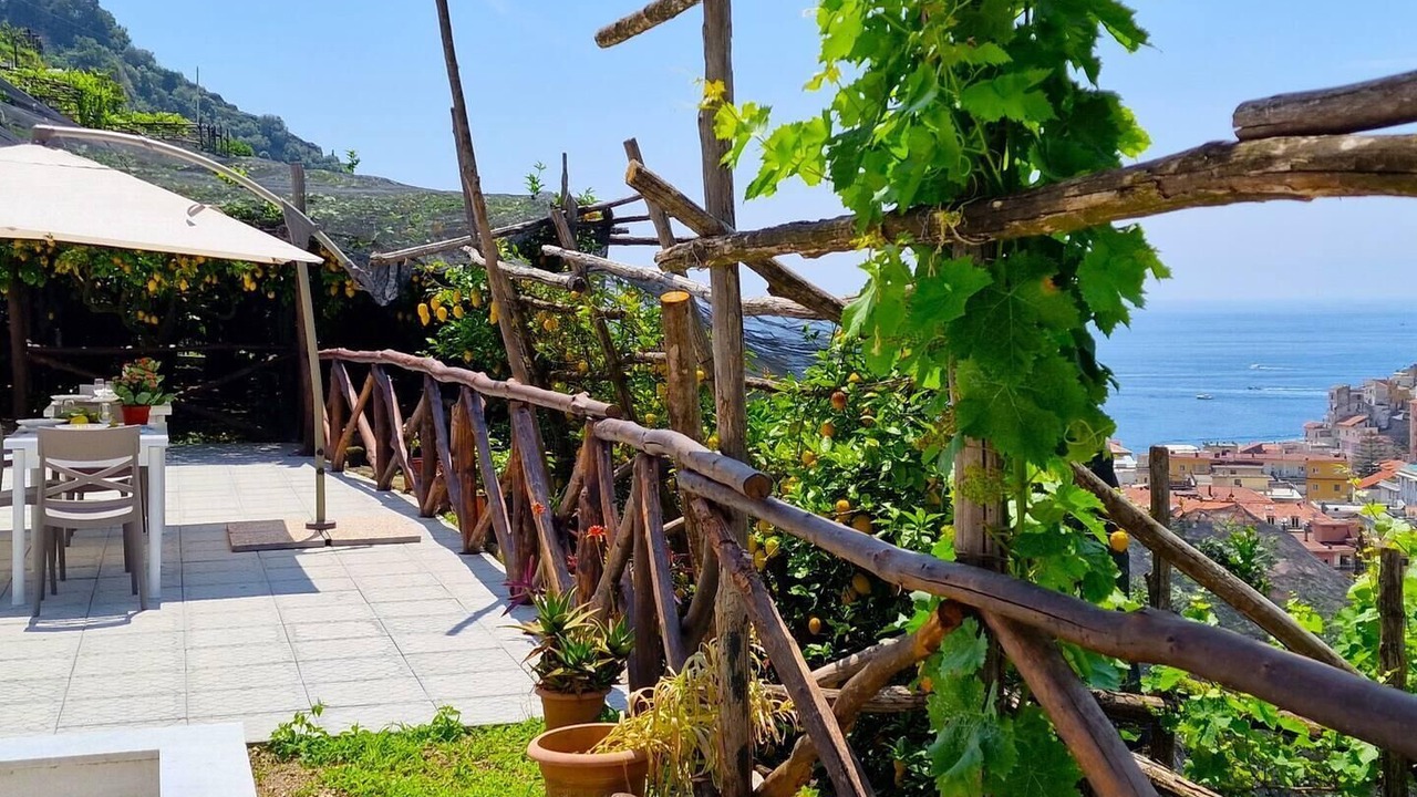 Photo of Outdoor in Minori