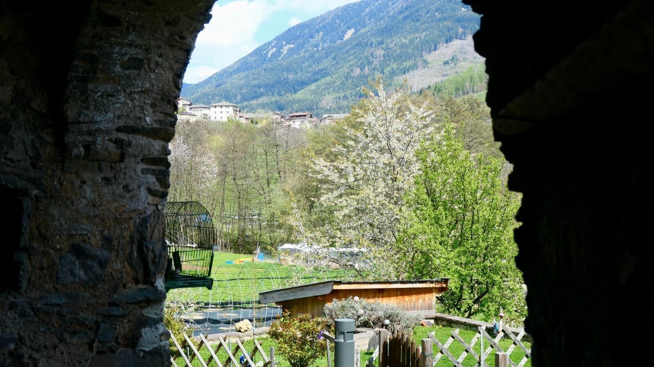 Photo of Outdoor in Baselga di Pine