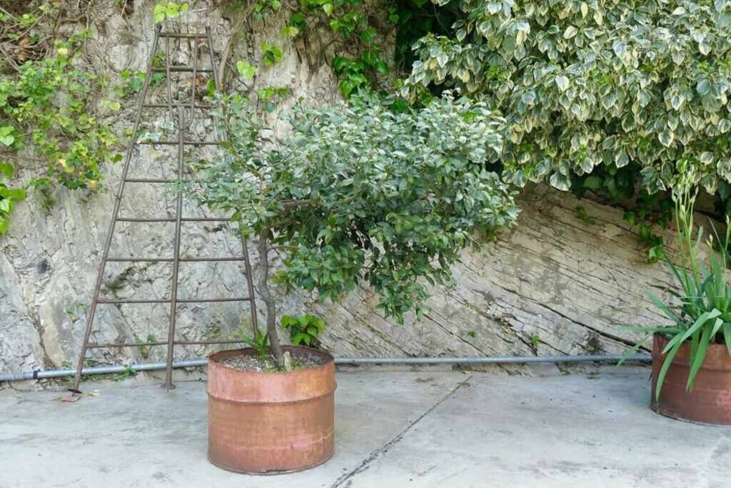 Photo of Outdoor in Padergnone