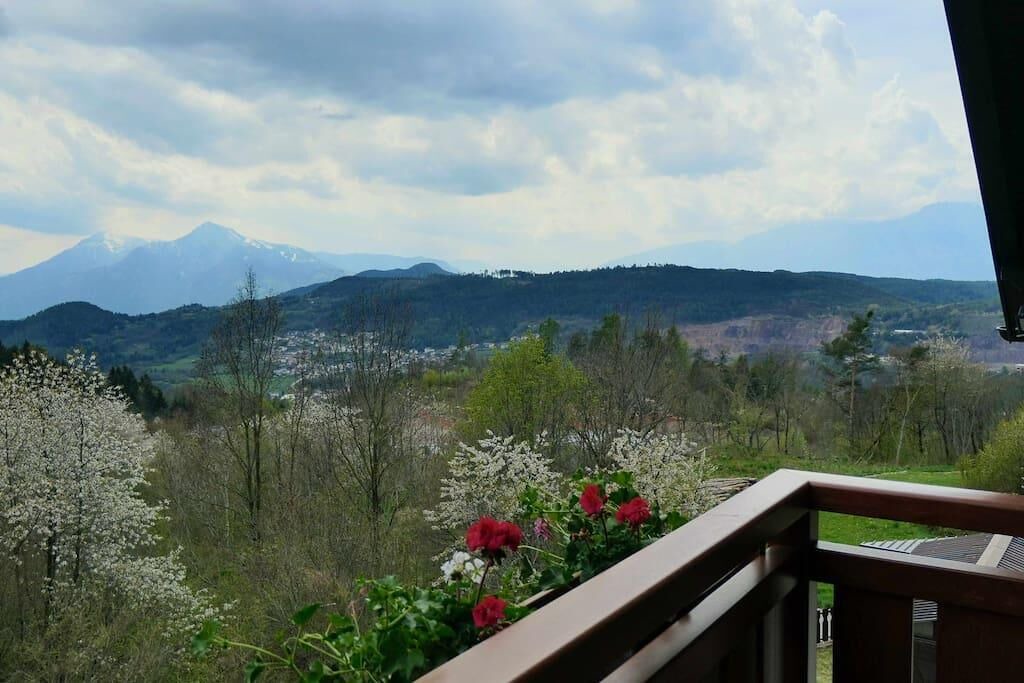 Photo of Outdoor in Baselga di Pine