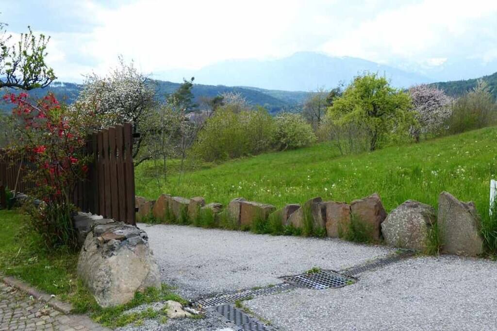 Photo of Outdoor in Baselga di Pine