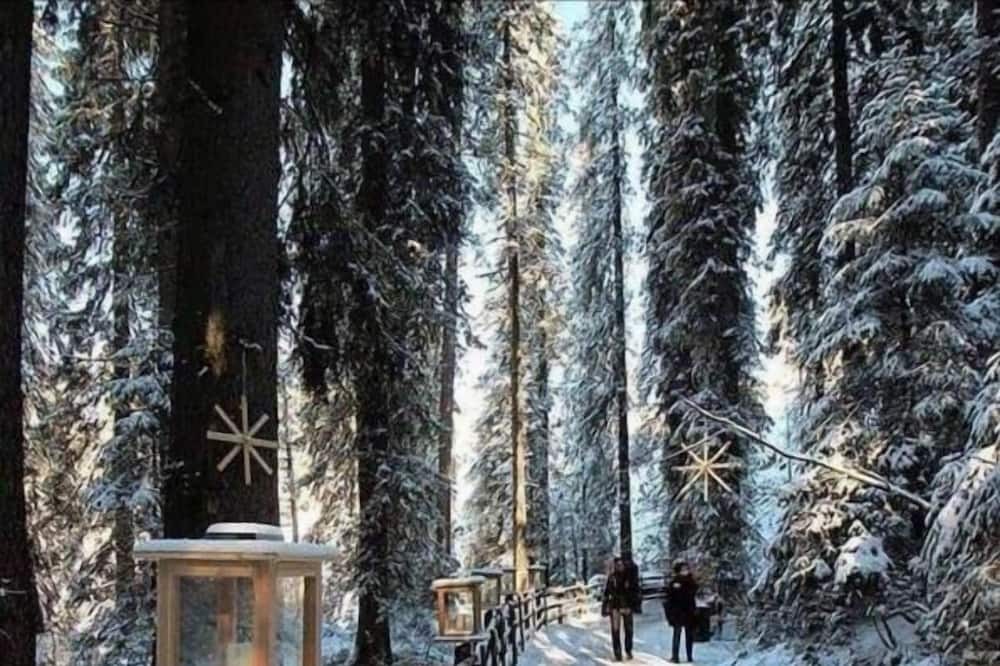 Photo of Outdoor in Penia