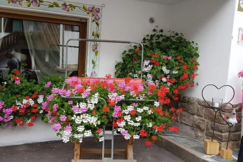 Photo of Outdoor in Penia