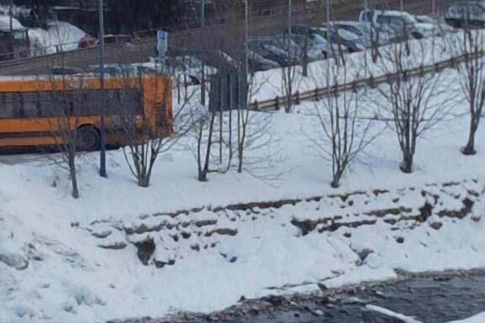 Photo of Outdoor in Penia