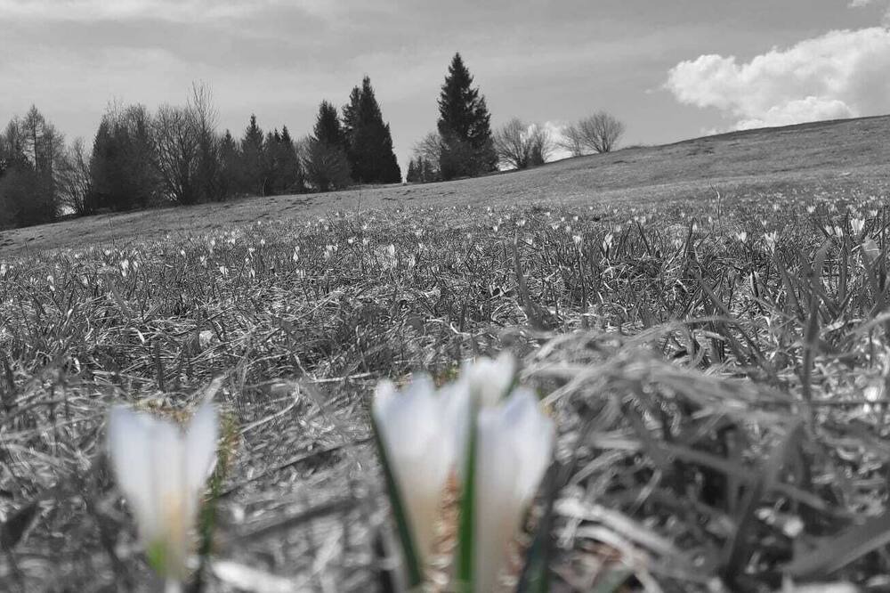 Photo of Outdoor in Castello Tesino