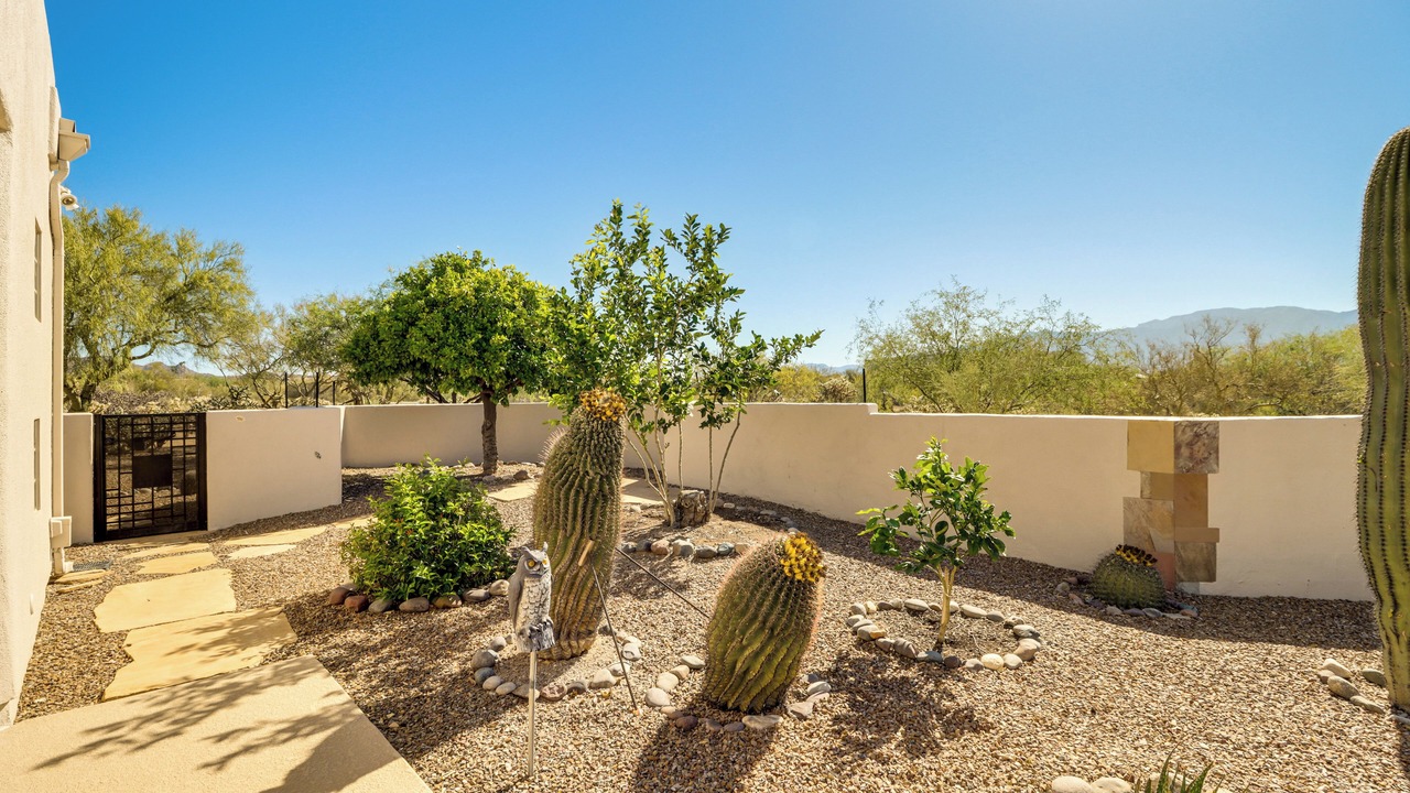 Photo of Others in Oro Valley