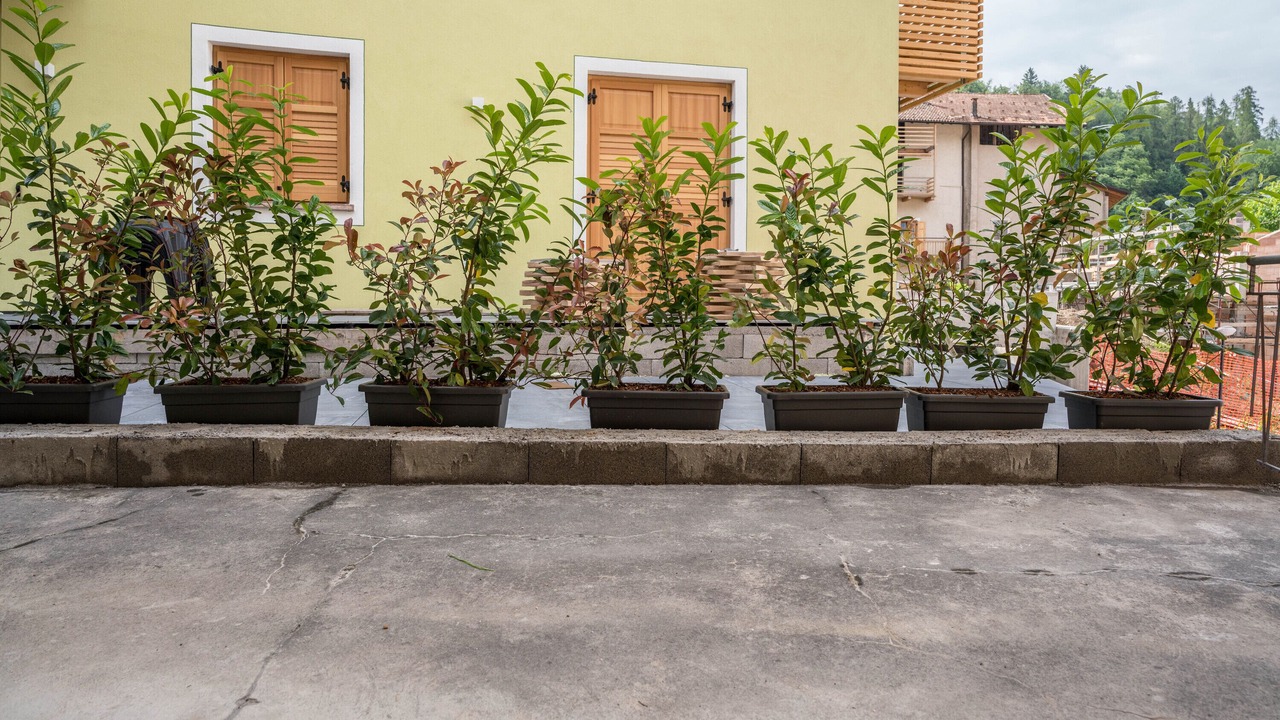 Photo of Outdoor in San Lorenzo in Banale