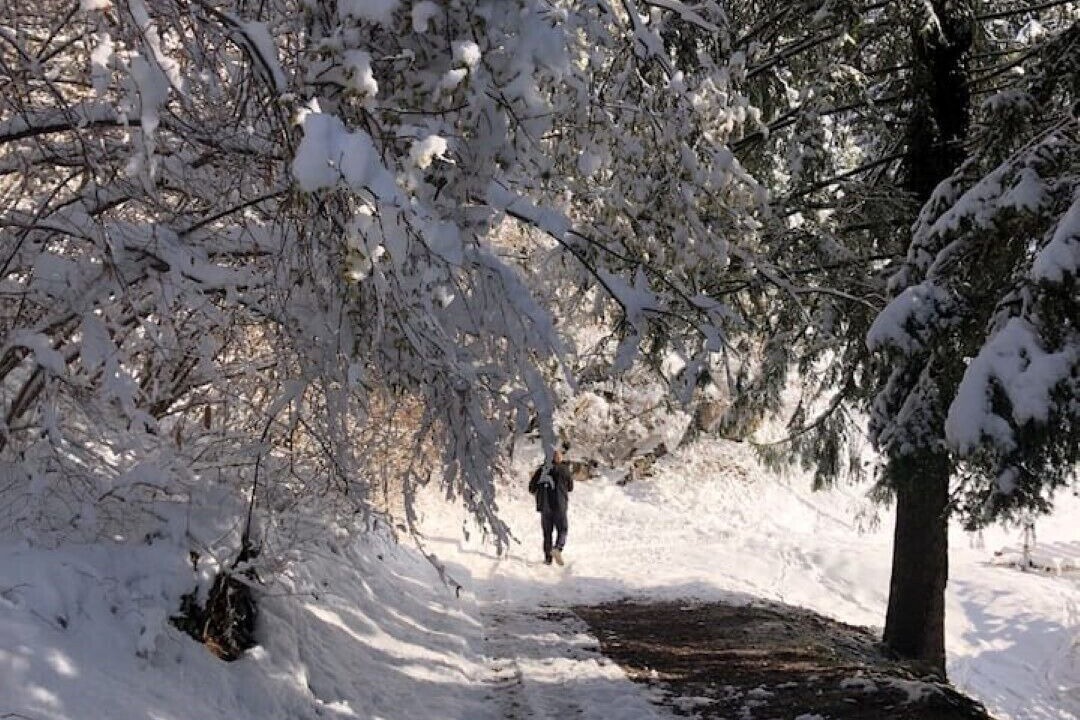 Photo of Outdoor in San Lorenzo in Banale